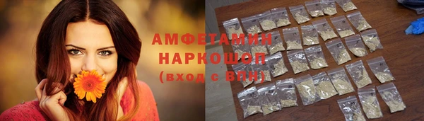 мет Алексин