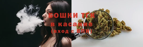 мет Алексин