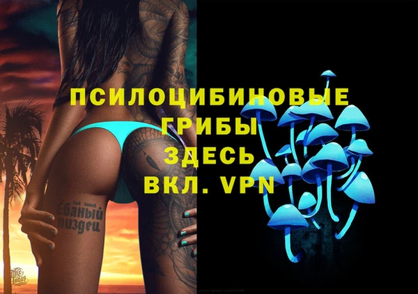 гидропоника Абдулино