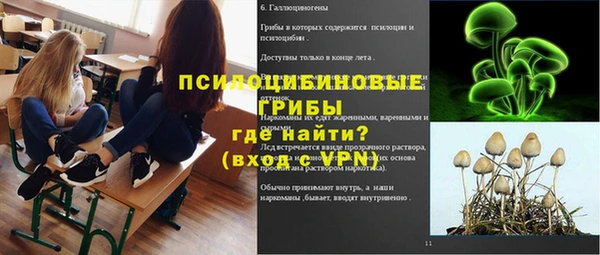 мет Алексин