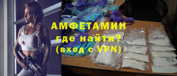 мет Алексин